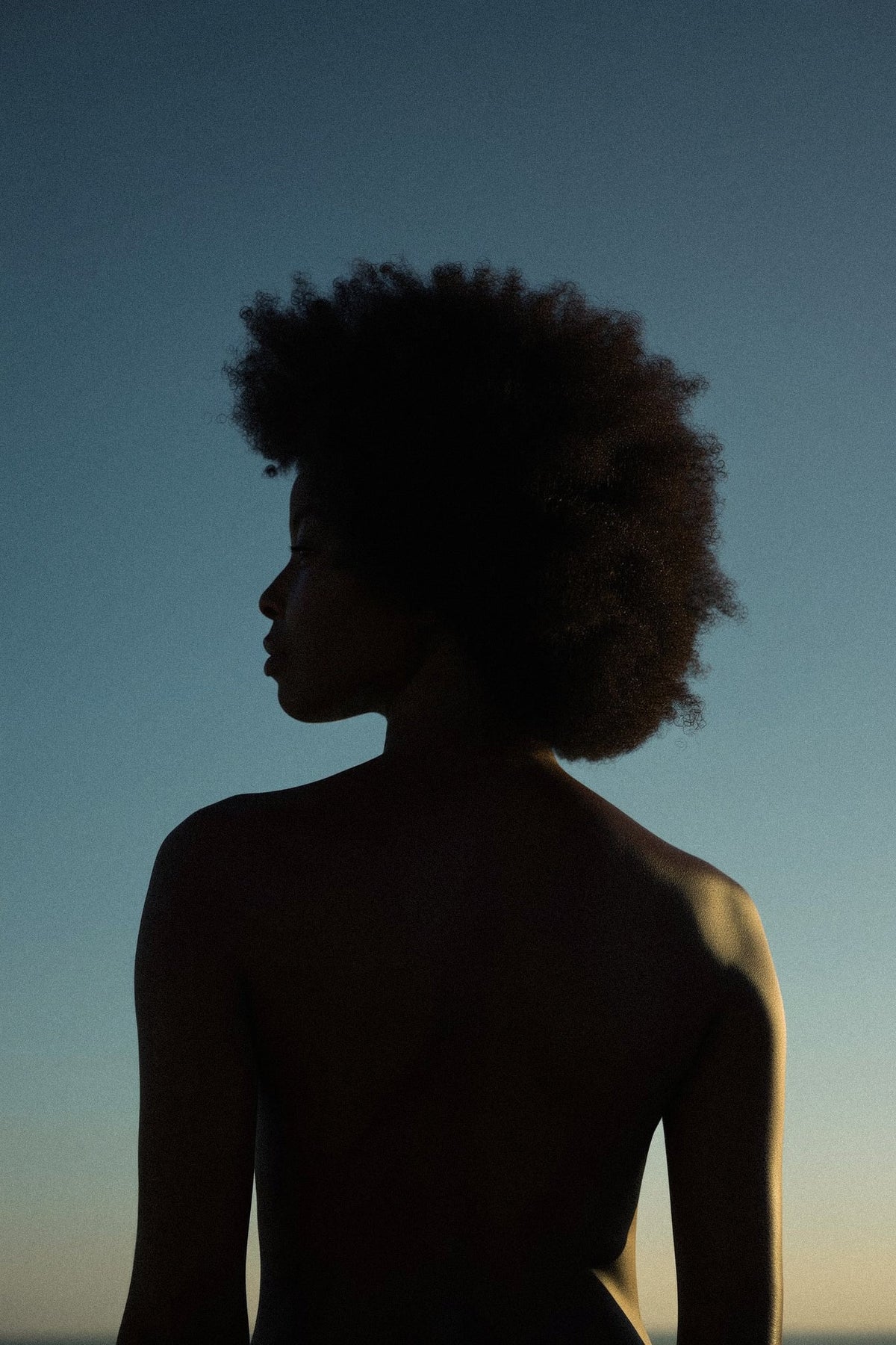 Silhouette of a woman with an afro seen from behind against a dusky blue sky